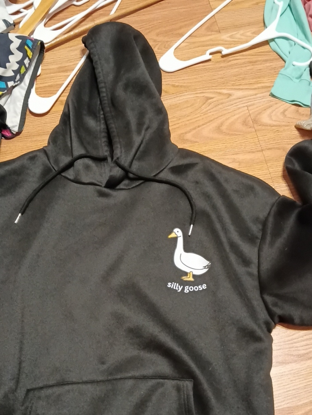 Silly Goose Academy